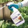 Rot-Stop Tomato Blossom End Rot Spray – Bonide – 32 oz
